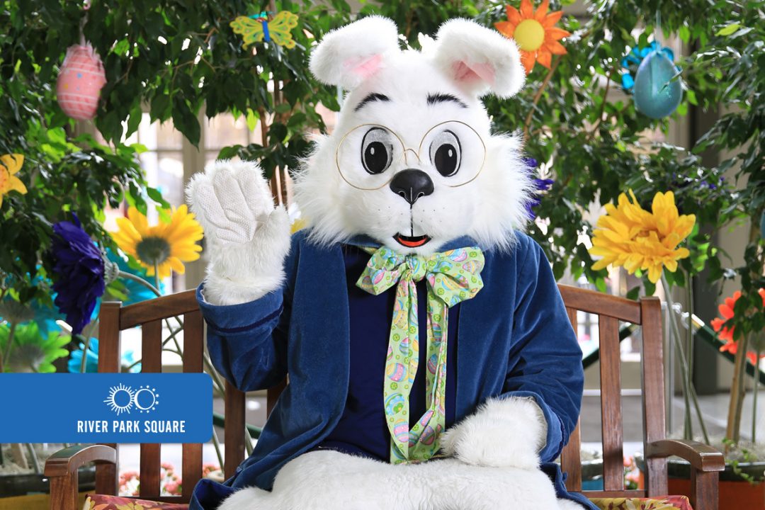 Easter Bunny Sensory Website